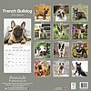 Frenchie Calendar